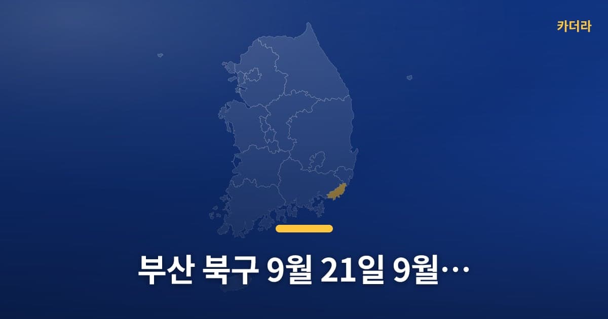 이미지 1