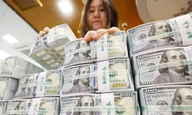 외환보유액 달러·금 비중과 금리 결정 · 2026년 7월 환율 충격 분석