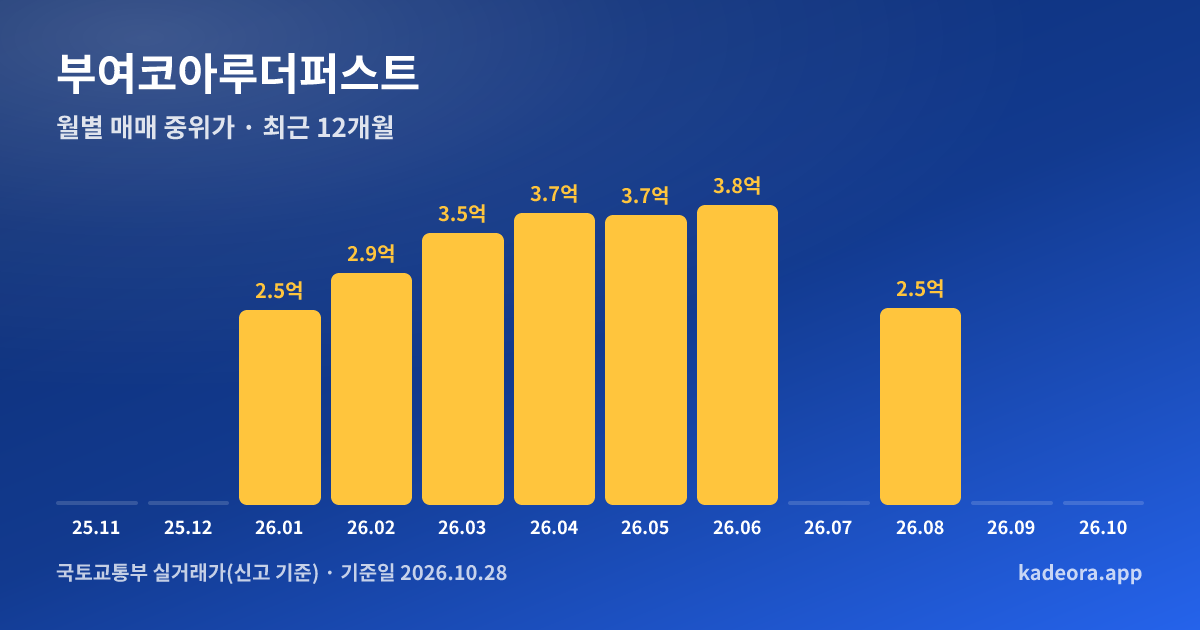 부여코아루더퍼스트 최근 12개월 월별 실거래가 그래프