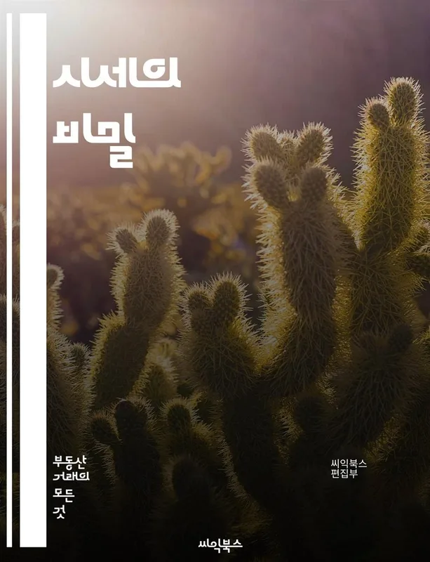 카더라 주식 시황 분석 — 쇼피파이 리스크 분석 — 2026 투자 포인트