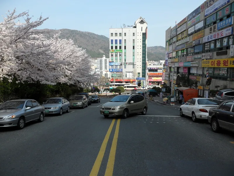 대우 실거래가 분석 — 서울 도봉구 시세·평당가·거래 동향 (2026)
