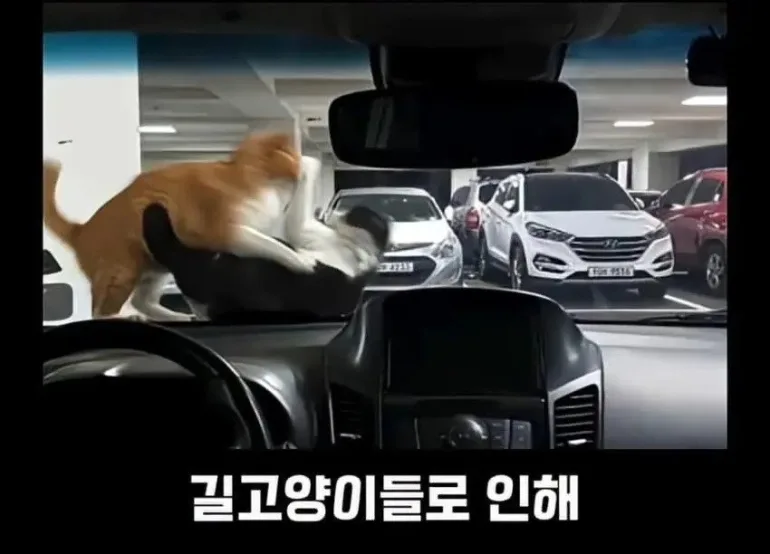 경기 30,000만원~40,000만원 아파트 실거래 총정리 — 5건 단지·시세·면적 (2026) 아파트