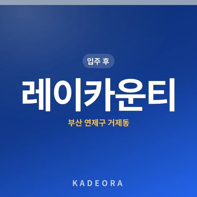 레이카운티 현장 카드