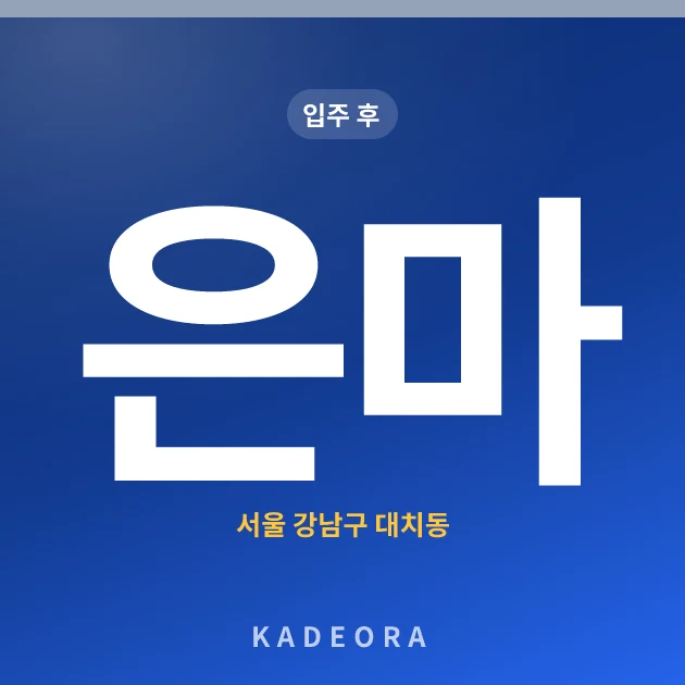 은마아파트 현장 카드