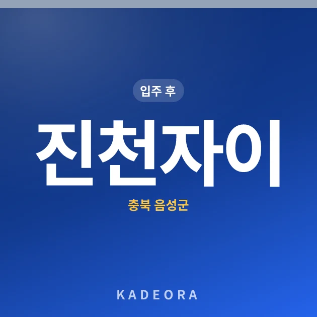 진천자이 현장 카드