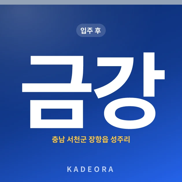 금강 현장 카드