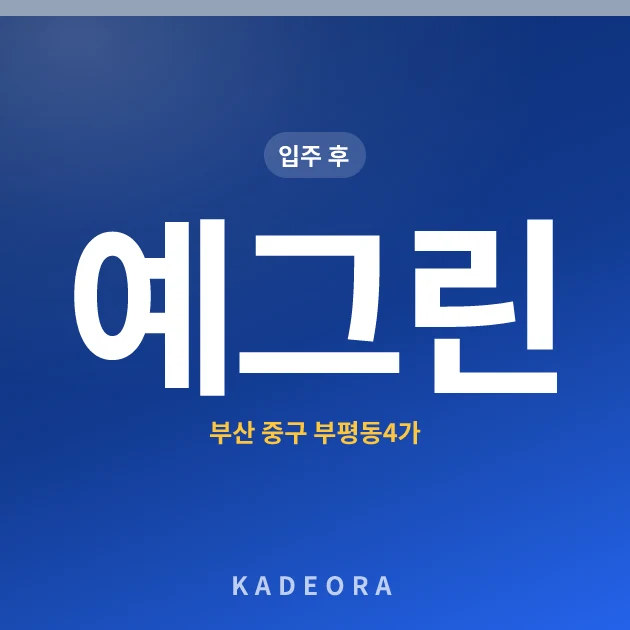 예그린 현장 카드