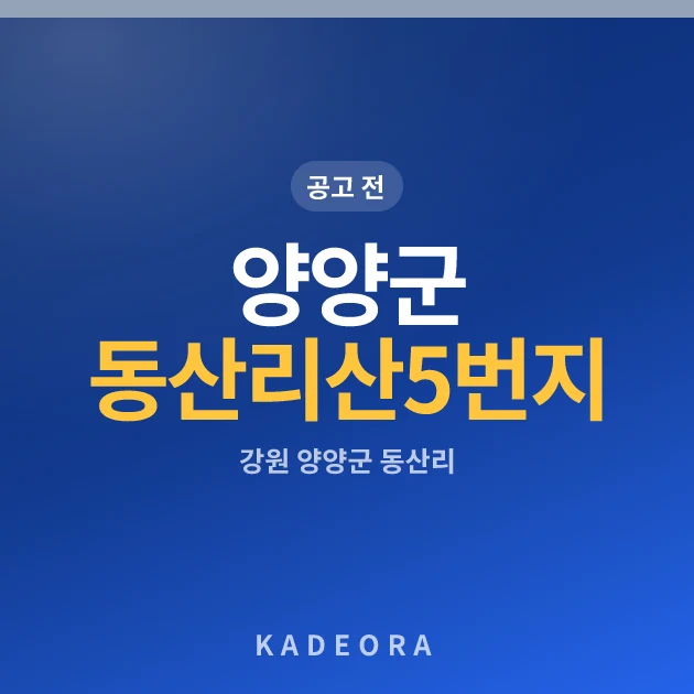 양양군 동산리 산5번지 도시형생활주택 현장 카드