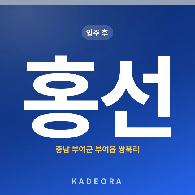 홍선 현장 카드