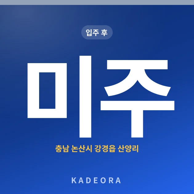 미주 현장 카드