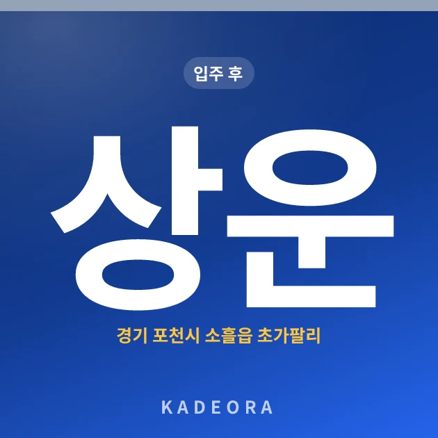 상운 현장 카드
