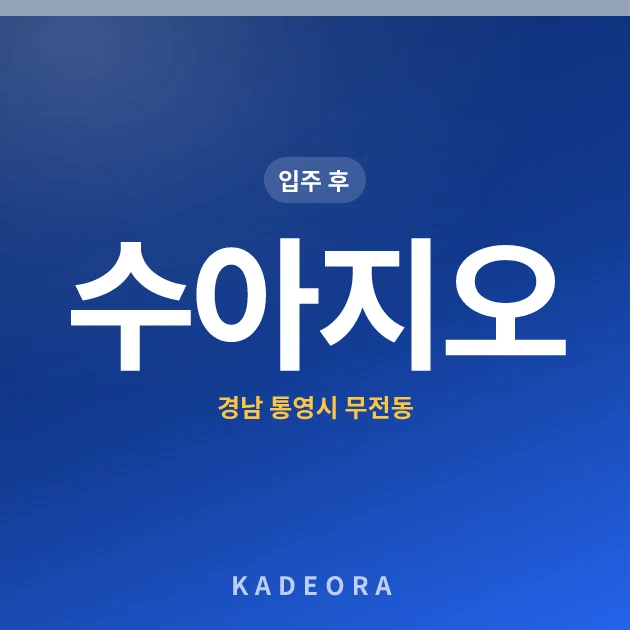 수아지오 현장 카드