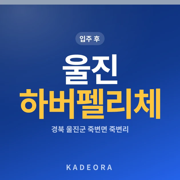 울진 하버펠리체 현장 카드