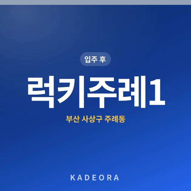 럭키주례1 현장 카드