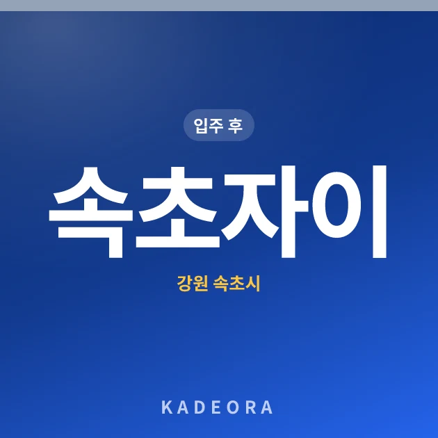 속초자이 현장 카드