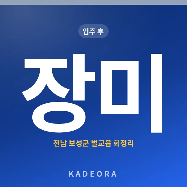 장미 현장 카드