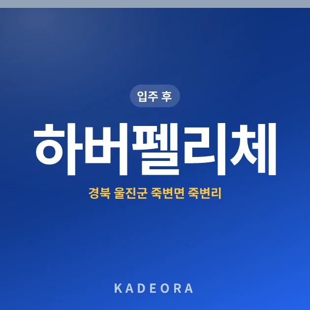 하버펠리체 현장 카드