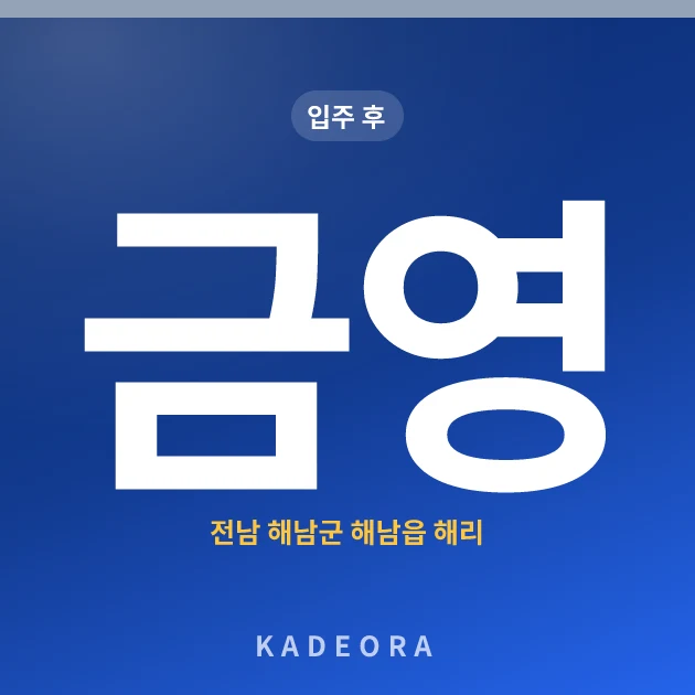 금영 현장 카드