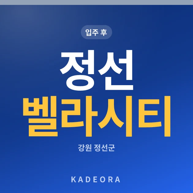 정선 벨라시티 현장 카드
