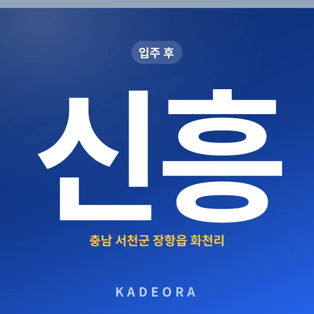 신흥 현장 카드