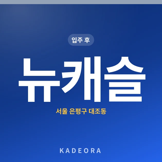 뉴캐슬 현장 카드