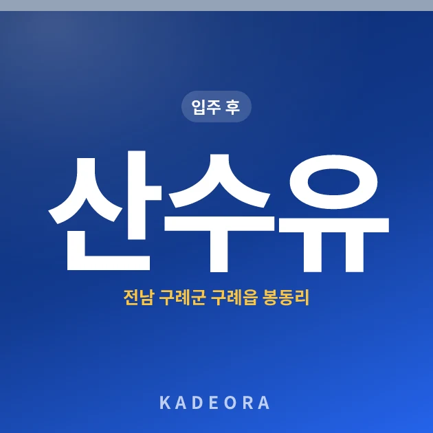 산수유아파트 현장 카드