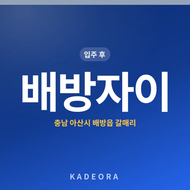 배방자이 현장 카드