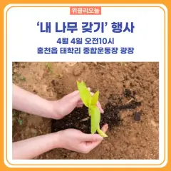 강원 홍천군 미분양 아파트 시장 분석 | 2026년 분양 청약 전망