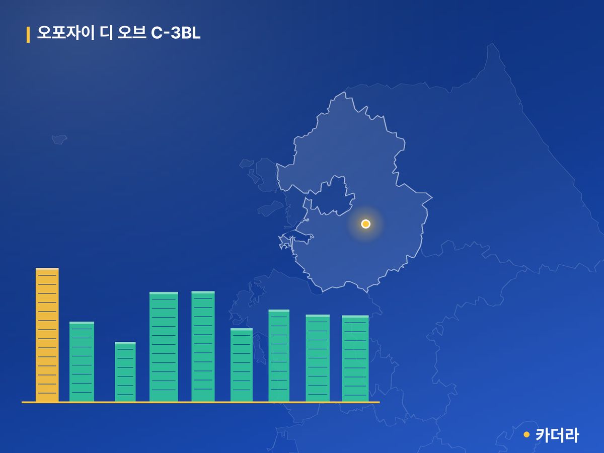 오포자이 디 오브 C-3BL 경기 분양 정보 카드