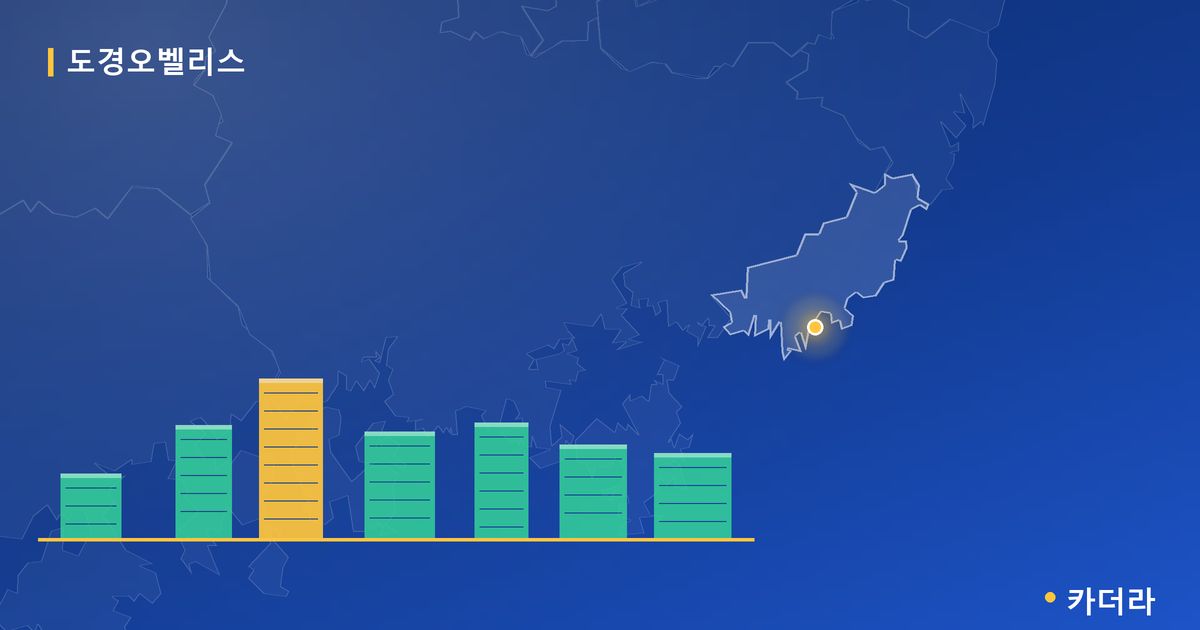 도경오벨리스 단지 정보 카드
