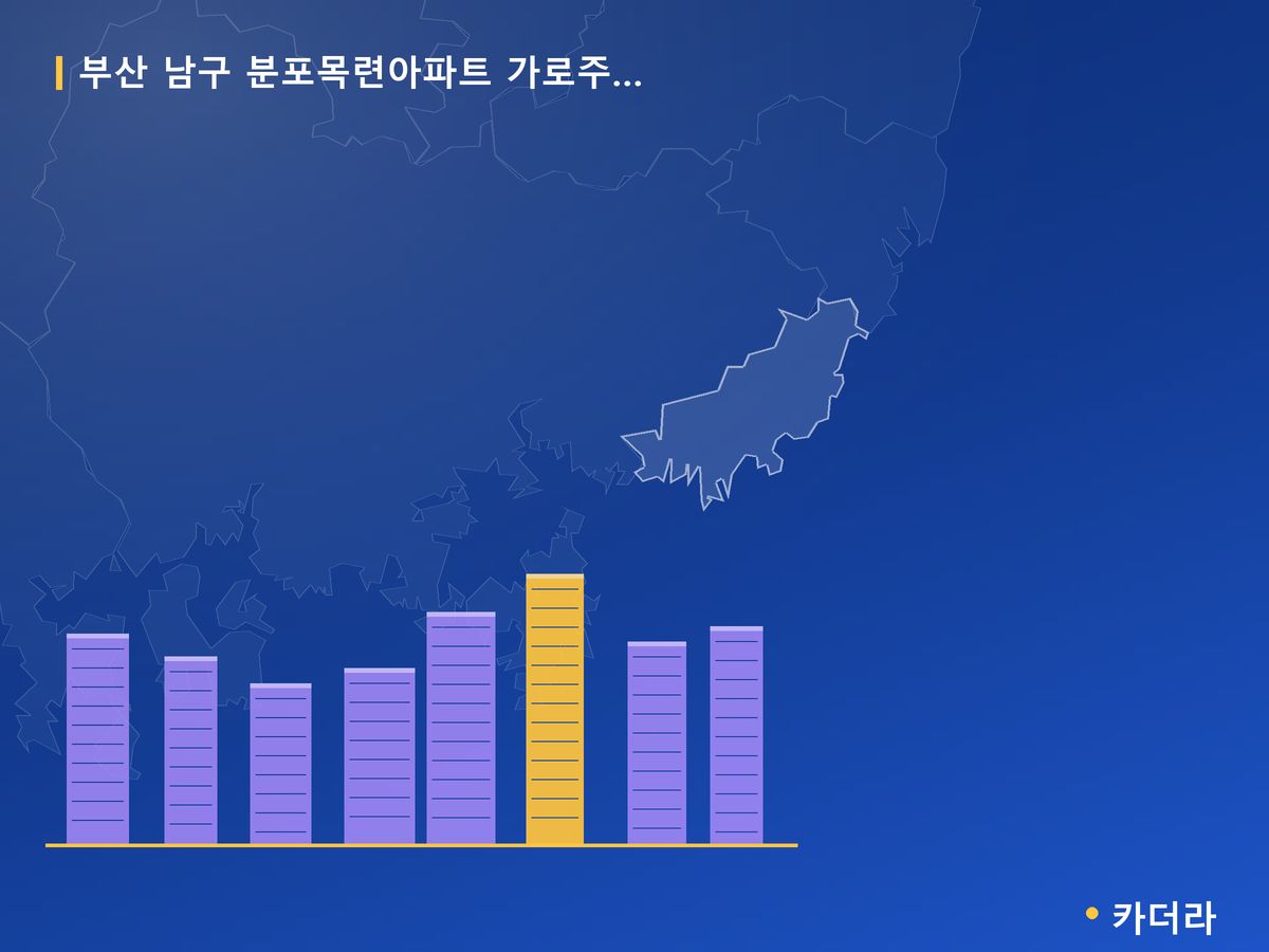 분포목련아파트 가로주택정비 부산 분양 정보 카드