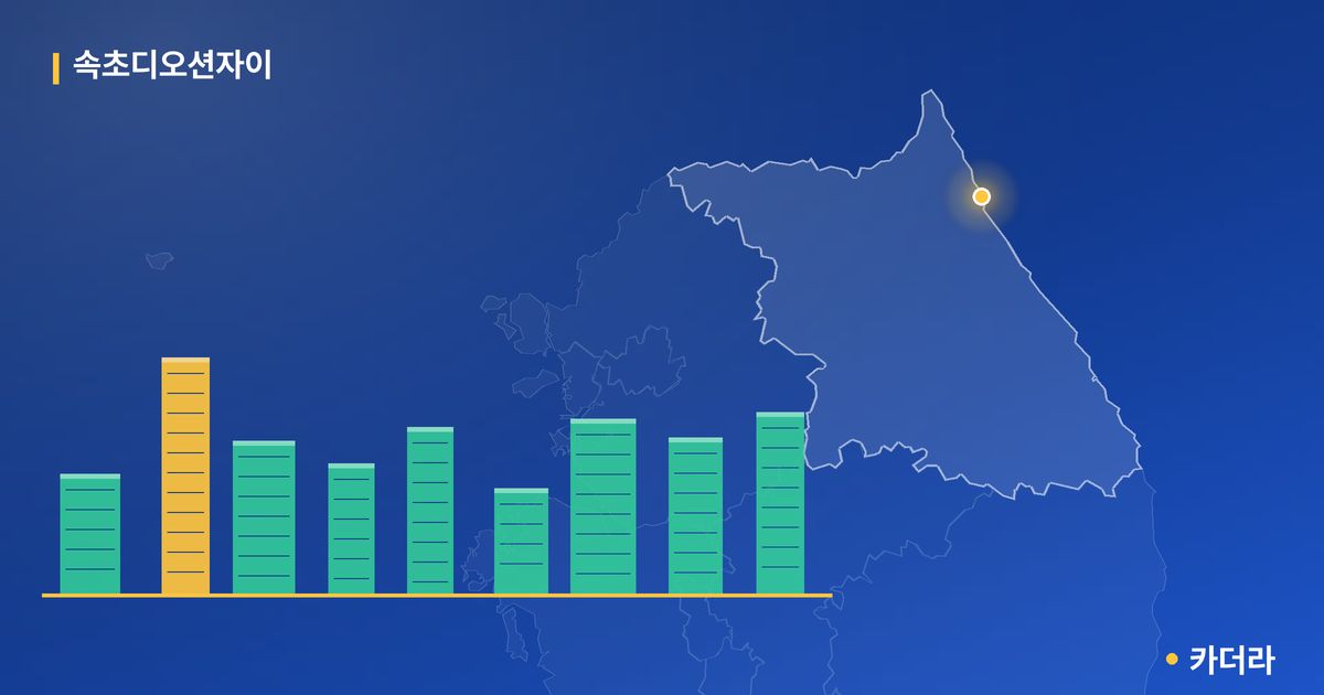 속초디오션자이 단지 정보 카드