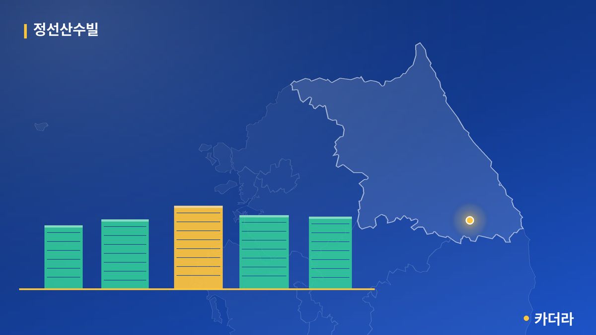정선산수빌 단지 정보 카드