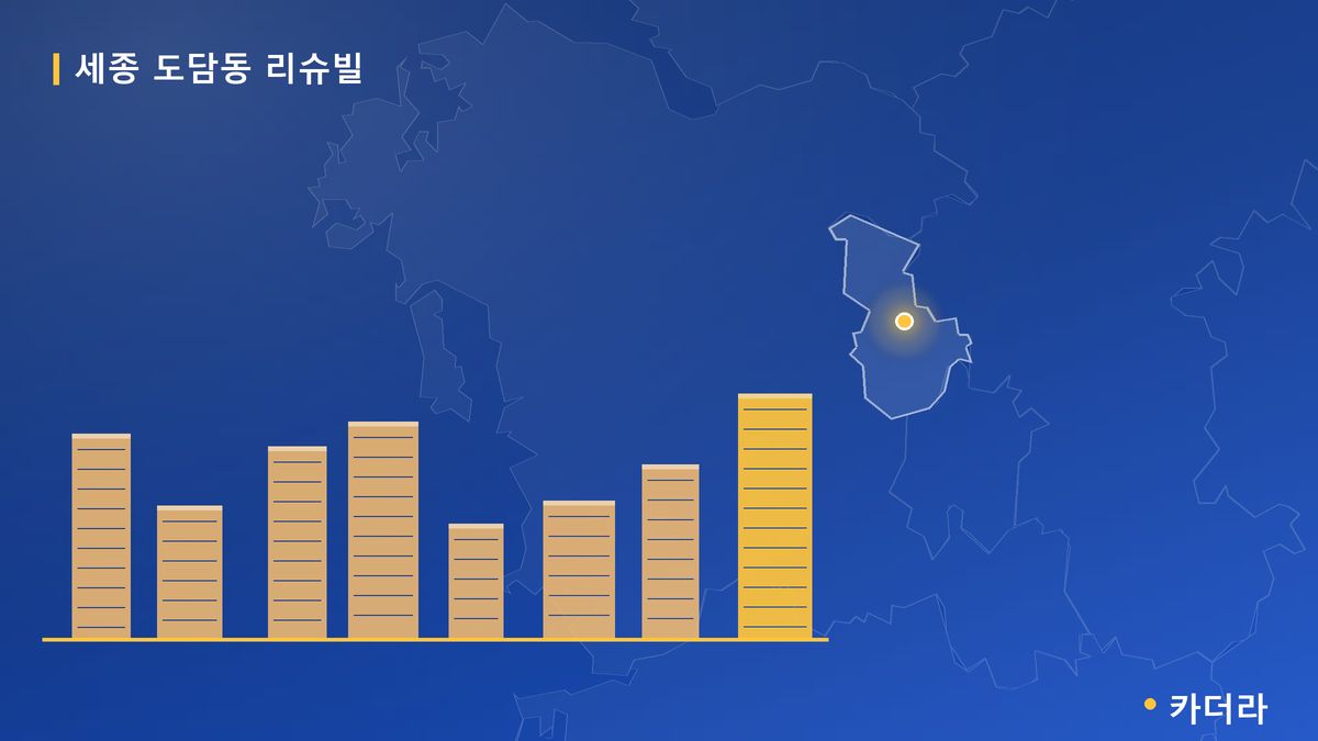 세종 도담동 리슈빌 단지 정보 카드
