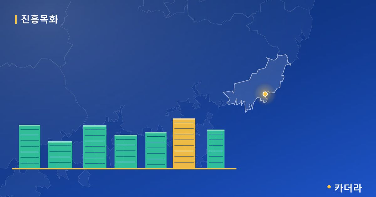 진흥목화 단지 정보 카드