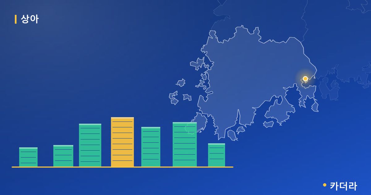 상아 단지 정보 카드