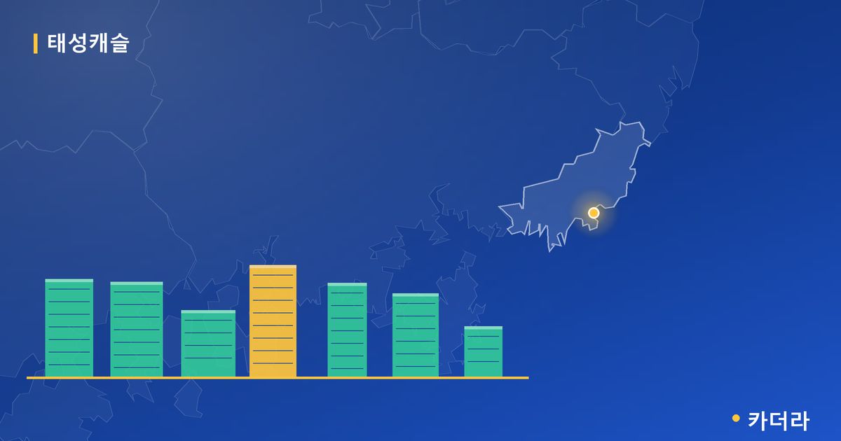 태성캐슬 단지 정보 카드