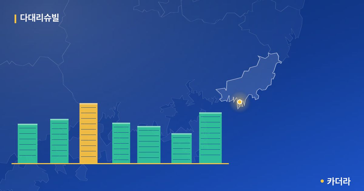 다대리슈빌 단지 정보 카드