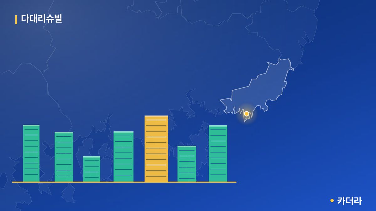 다대리슈빌 단지 정보 카드