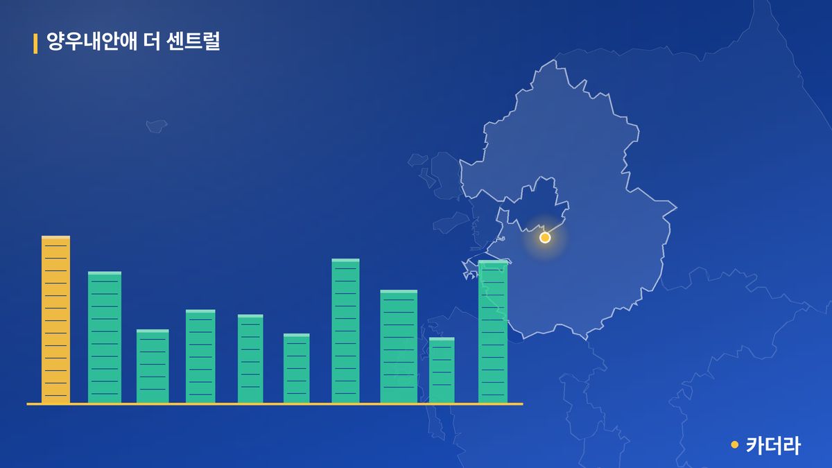 양우내안애 더 센트럴 단지 정보 카드