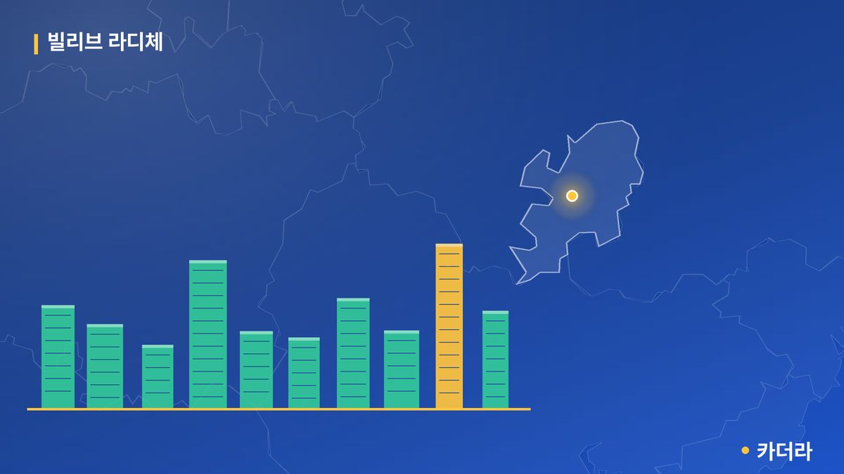빌리브 라디체 단지 정보 카드