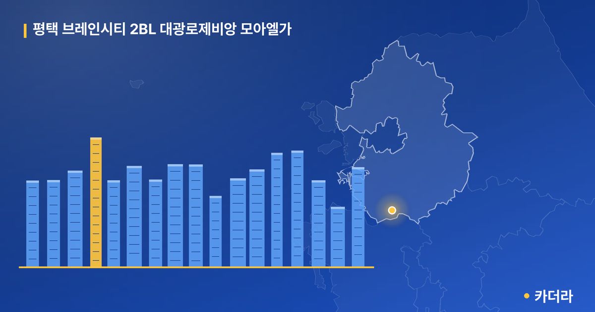 평택 브레인시티 2BL 대광로제비앙 모아엘가 단지 정보 카드