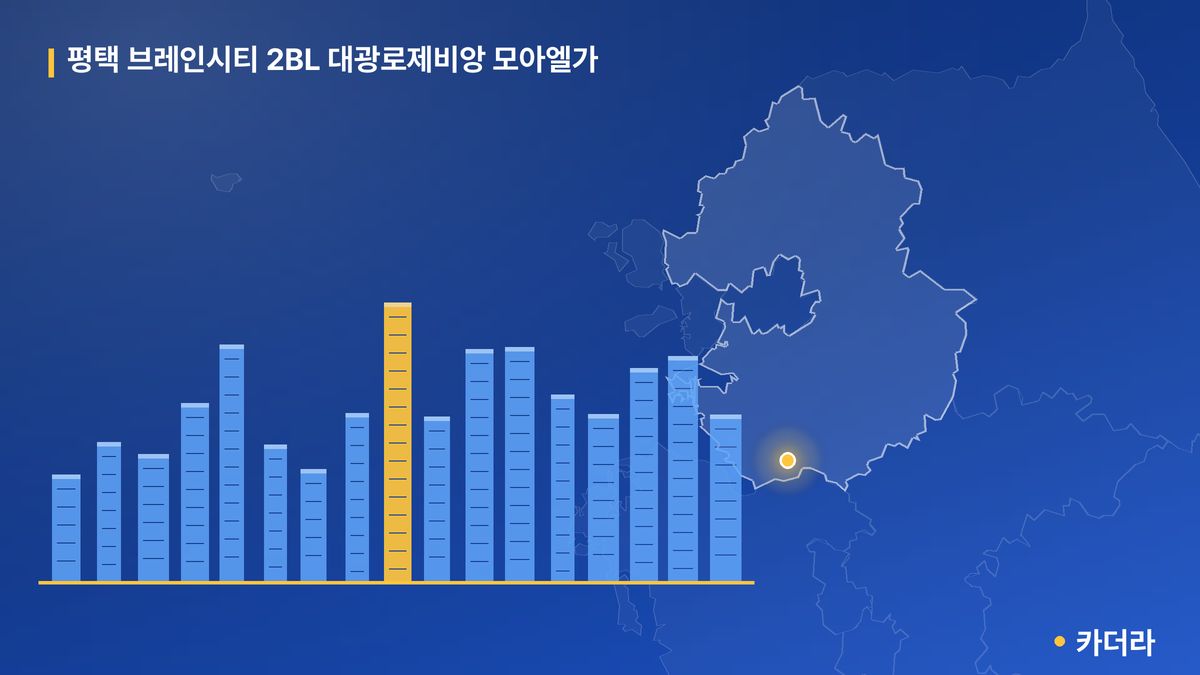 평택 브레인시티 2BL 대광로제비앙 모아엘가 단지 정보 카드