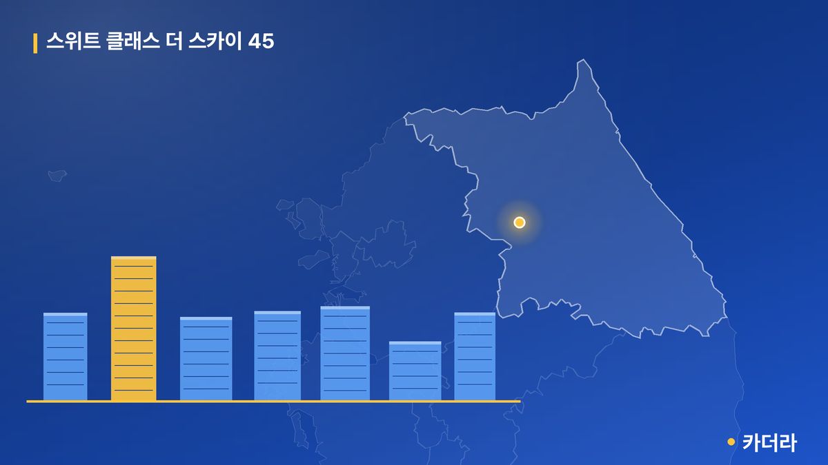 스위트 클래스 더 스카이 45 단지 정보 카드