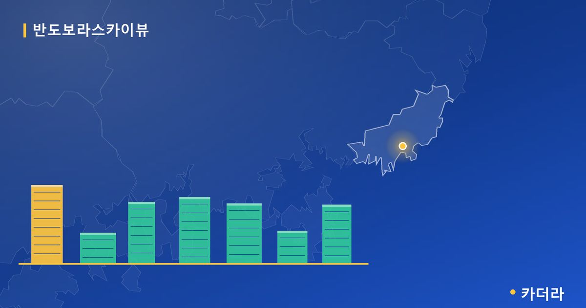 반도보라스카이뷰 단지 정보 카드