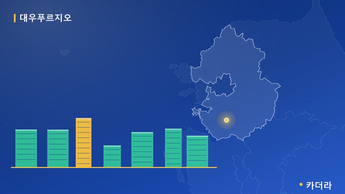수원천천 대우푸르지오(재건축매입 10년공임) 공가세대 일반분양 단지 정보 카드