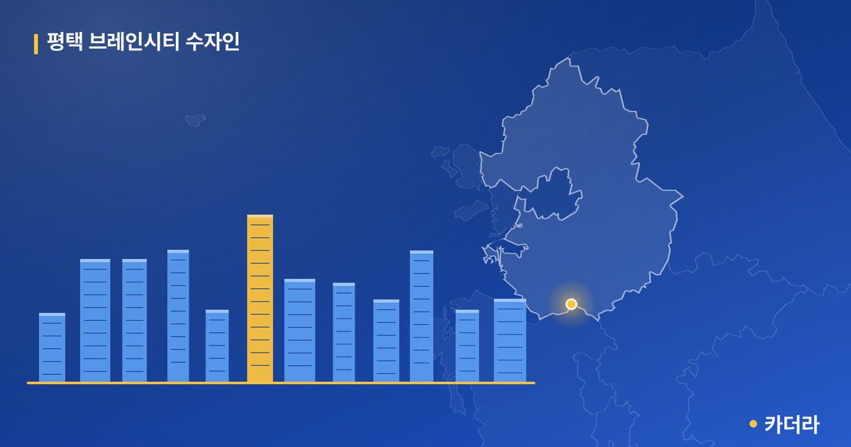 평택 브레인시티 수자인 단지 정보 카드