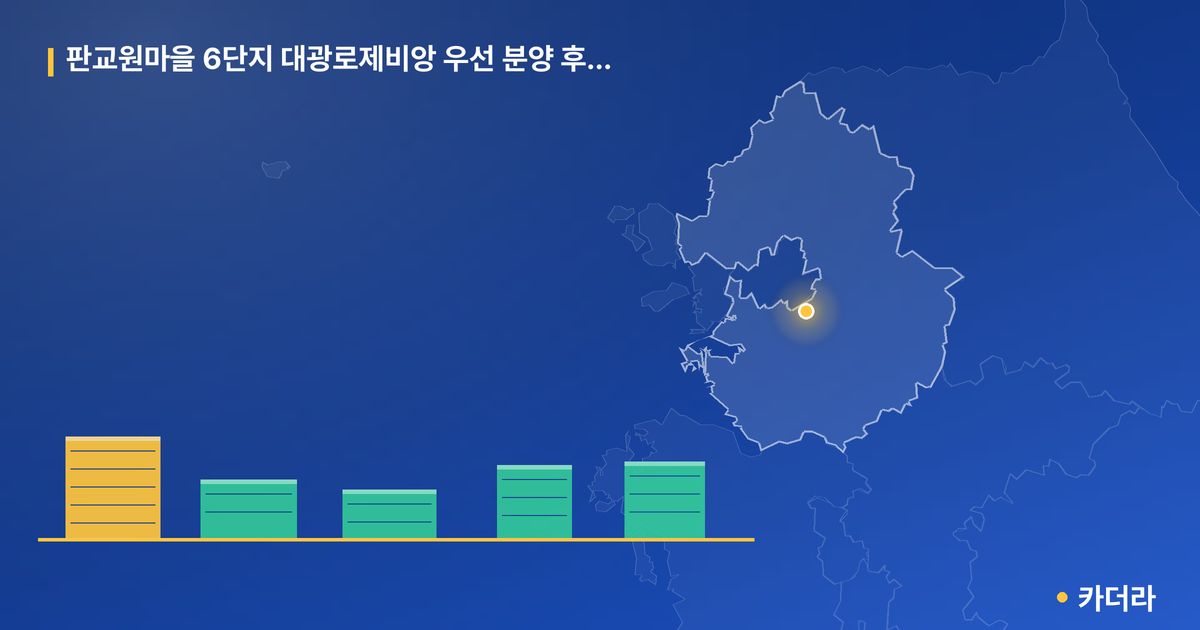 판교원마을 6단지 대광로제비앙 우선 분양 후 잔여세대 단지 정보 카드
