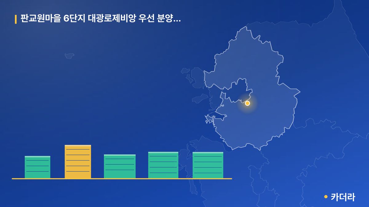 판교원마을 6단지 대광로제비앙 우선 분양 후 잔여세대 단지 정보 카드