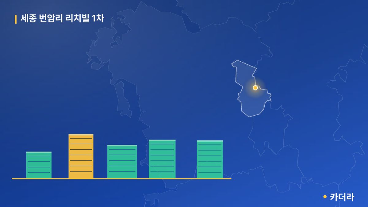 세종 번암리 리치빌 1차 단지 정보 카드